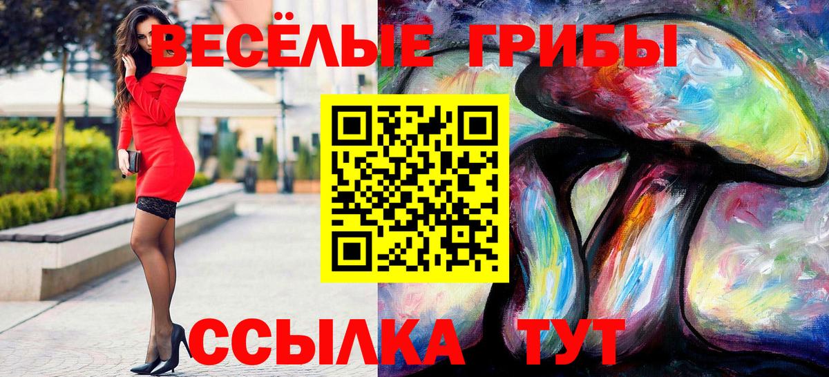 Псилоцибиновые грибы прущие грибы Рославль